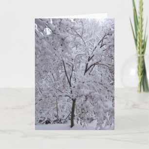 Snow-Laden Trees Card