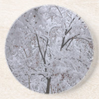 Snow-Laden Trees
