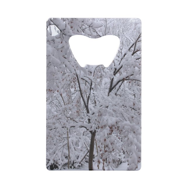 Snow-Laden Trees Credit Card Bottle Opener (Front)
