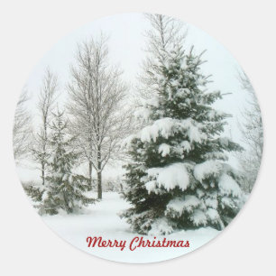 Snow-Laden Trees, Merry Christmas Classic Round Sticker