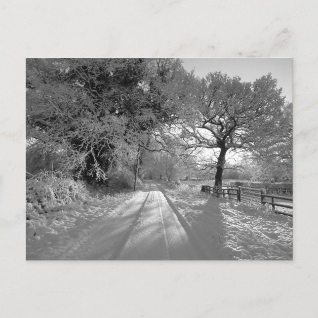 Snow Landscape: Cheshire Postcard (Front)
