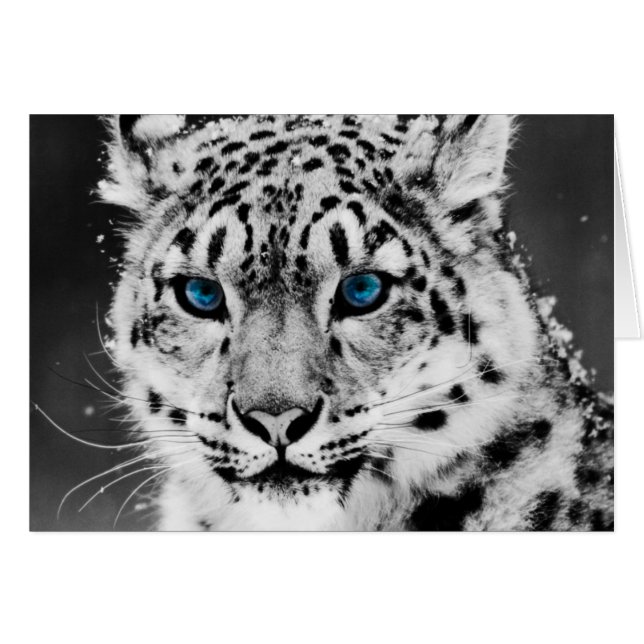 Snow Leopard (Front Horizontal)