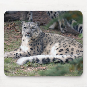 snow leopard 26 mouse pad