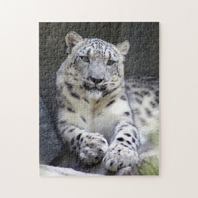 snow leopard 27 jigsaw puzzle (Vertical)