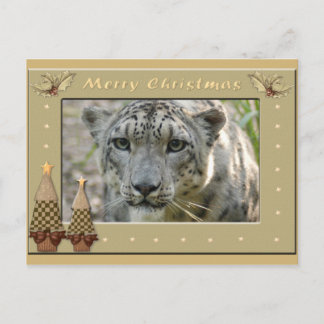 Snow Leopard-BCR-c-158 copy Postcard