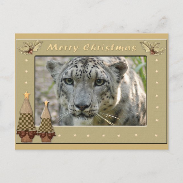 Snow Leopard-BCR-c-158 copy Postcard (Front)