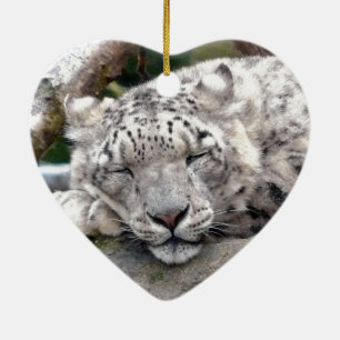 Snow Leopard - beautiful! Ceramic Ornament