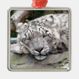Snow Leopard - beautiful! Metal Ornament