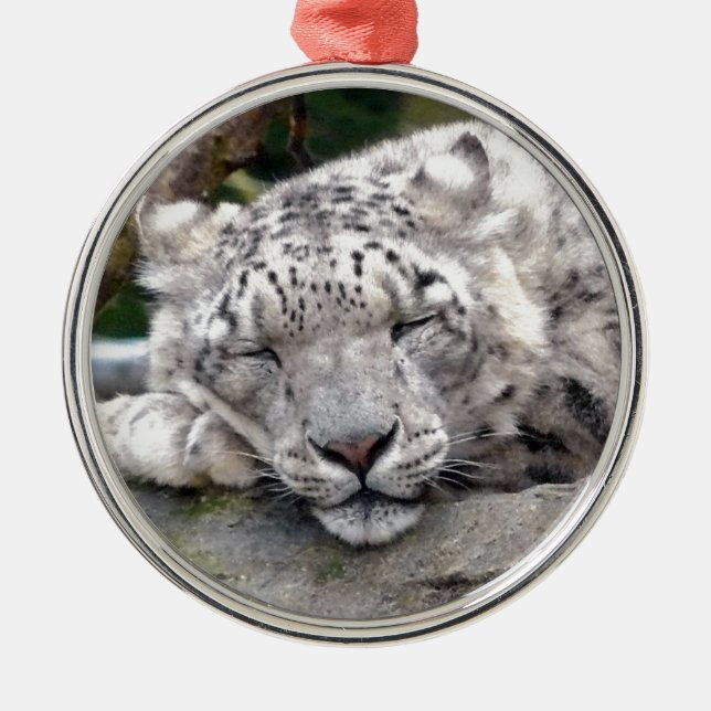 Snow Leopard - beautiful! Metal Ornament (Front)