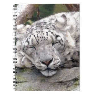 Snow Leopard - beautiful! Notebook