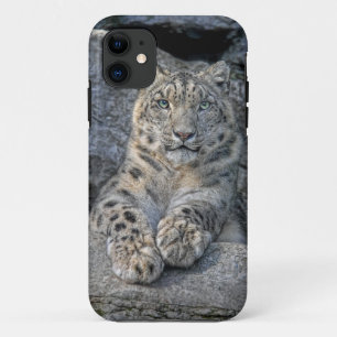 Snow Leopard Beauty (both paws in front) iPhone 11 Case