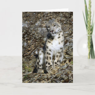 Snow Leopard - Christmas Card