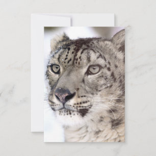 Snow Leopard Christmas Card