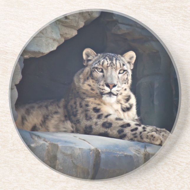 Snow Leopard Coaster (Front)