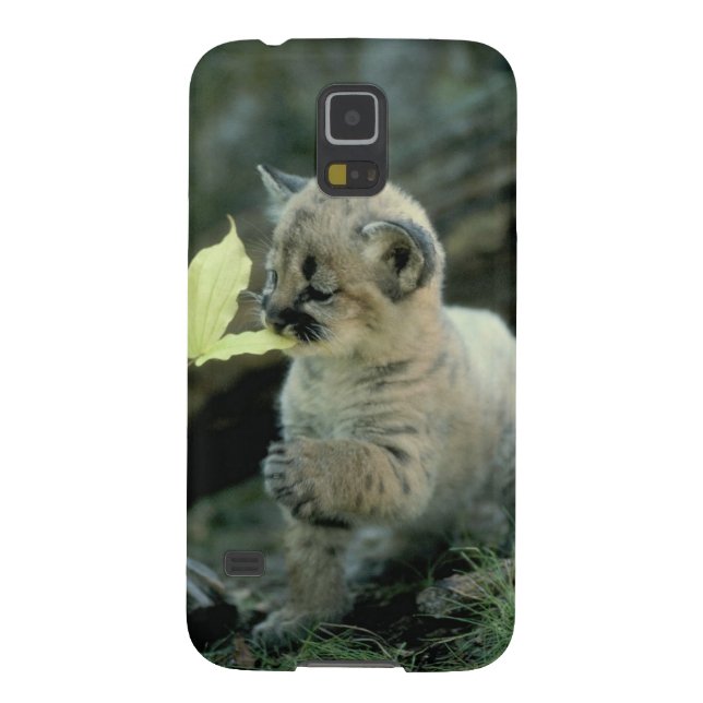 Snow Leopard Cub Case-Mate Samsung Galaxy Case (Back)