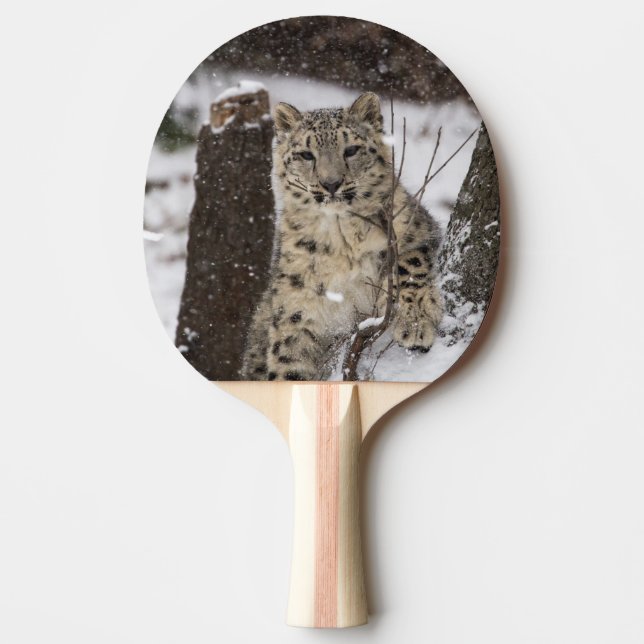 Snow Leopard Cub Ping Pong Paddle (Front)