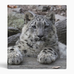 Snow Leopard Cub Sitting Binder