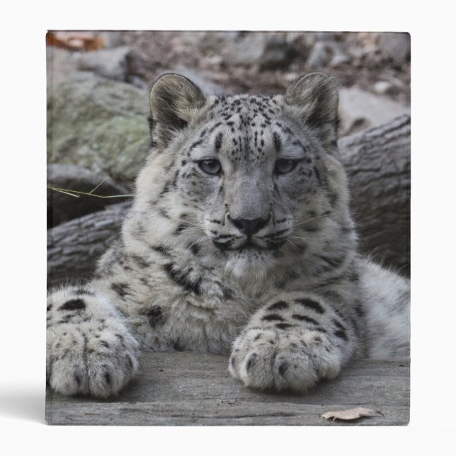 Snow Leopard Cub Sitting Binder (Front)