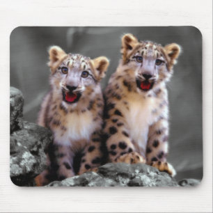 Snow Leopard Cubs Mouse Pad