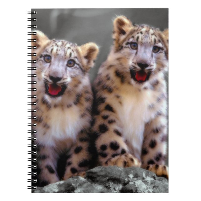 Snow Leopard Cubs Notebook (Front)