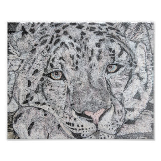 Snow leopard drawing, Snow leopard design, Cat. Photo Print