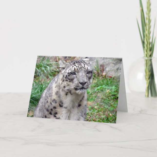 Snow Leopard Greeting Card (Front)