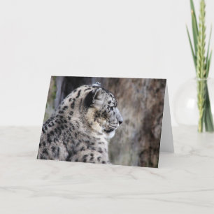 Snow leopard greeting card