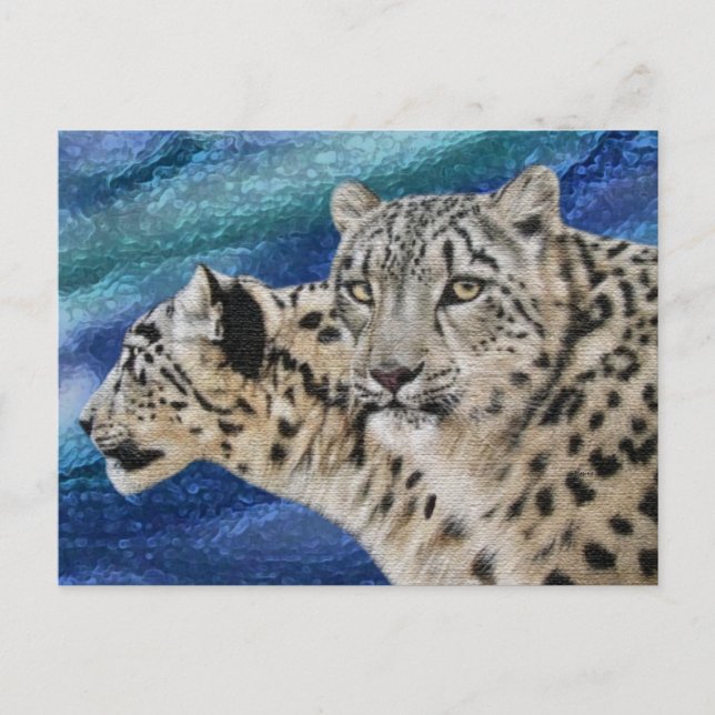 Snow Leopard Habitat Postcards (Front)