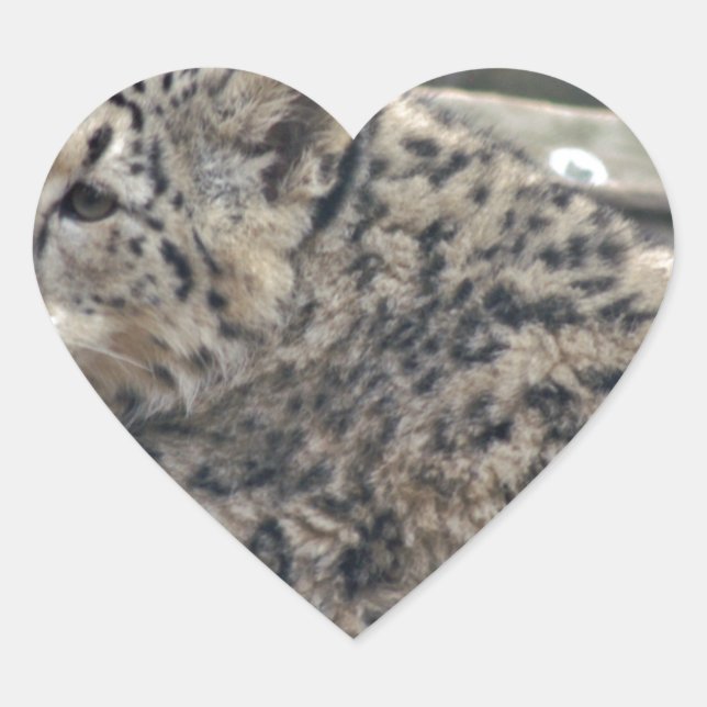 Snow Leopard Heart Sticker (Front)