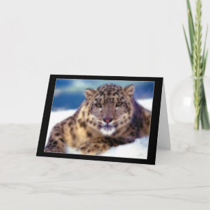 Snow Leopard II Card