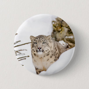 Snow Leopard in the Snow 2 Inch Round Button