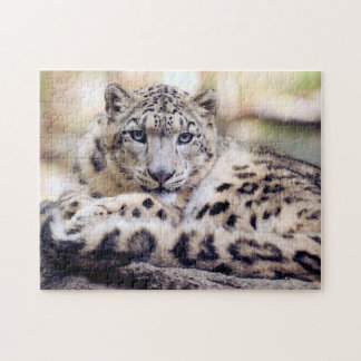 Snow Leopard Jigsaw Puzzle