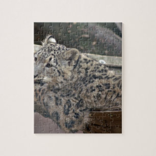 Snow Leopard Jigsaw Puzzle