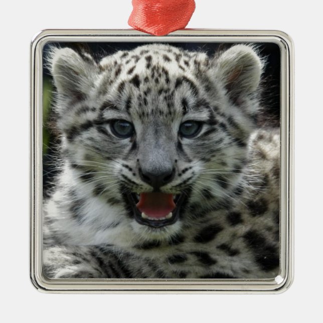 Snow Leopard Kitten Metal Ornament (Front)
