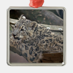 Snow Leopard Metal Ornament
