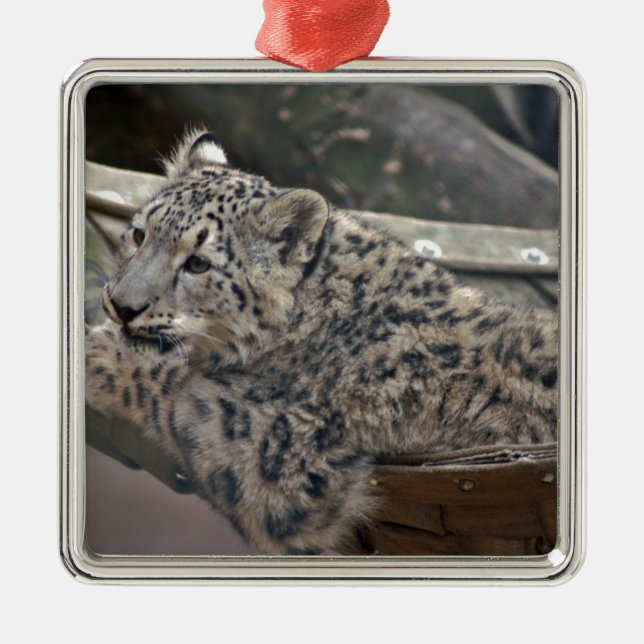 Snow Leopard Metal Ornament (Front)