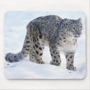 Snow leopard mouse pad