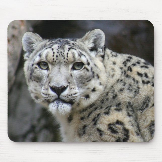 Snow Leopard Mouse Pad (Front)