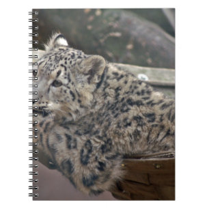 Snow Leopard Notebook