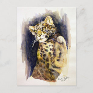 Snow Leopard Postcard