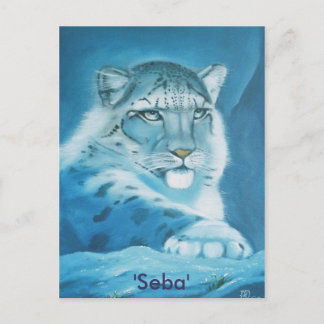 snow leopard, 'Seba' Postcard