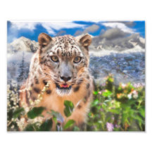 SNOW LEOPARD SPRINGTIME FLOWERS
