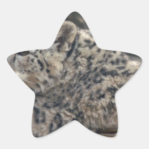 Snow Leopard Star Sticker