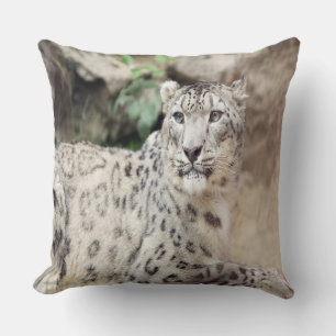 Snow Leopard Throw Pillow
