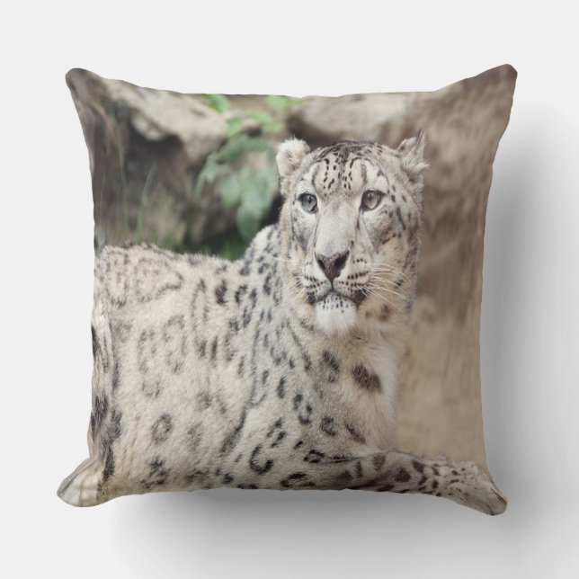 Snow Leopard Throw Pillow (Front)