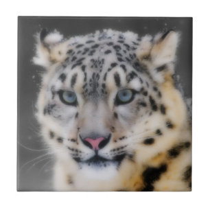 Snow Leopard Tile
