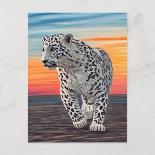 Snow Leopard Walking on the Beach During a Sunset Postcard