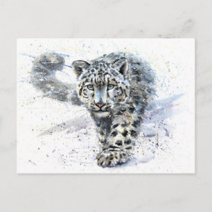 Snow Leopard Watercolor Postcard