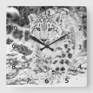 Snow Leopard Wildlife Wall Clock