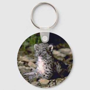 Snow leopard, young cub keychain